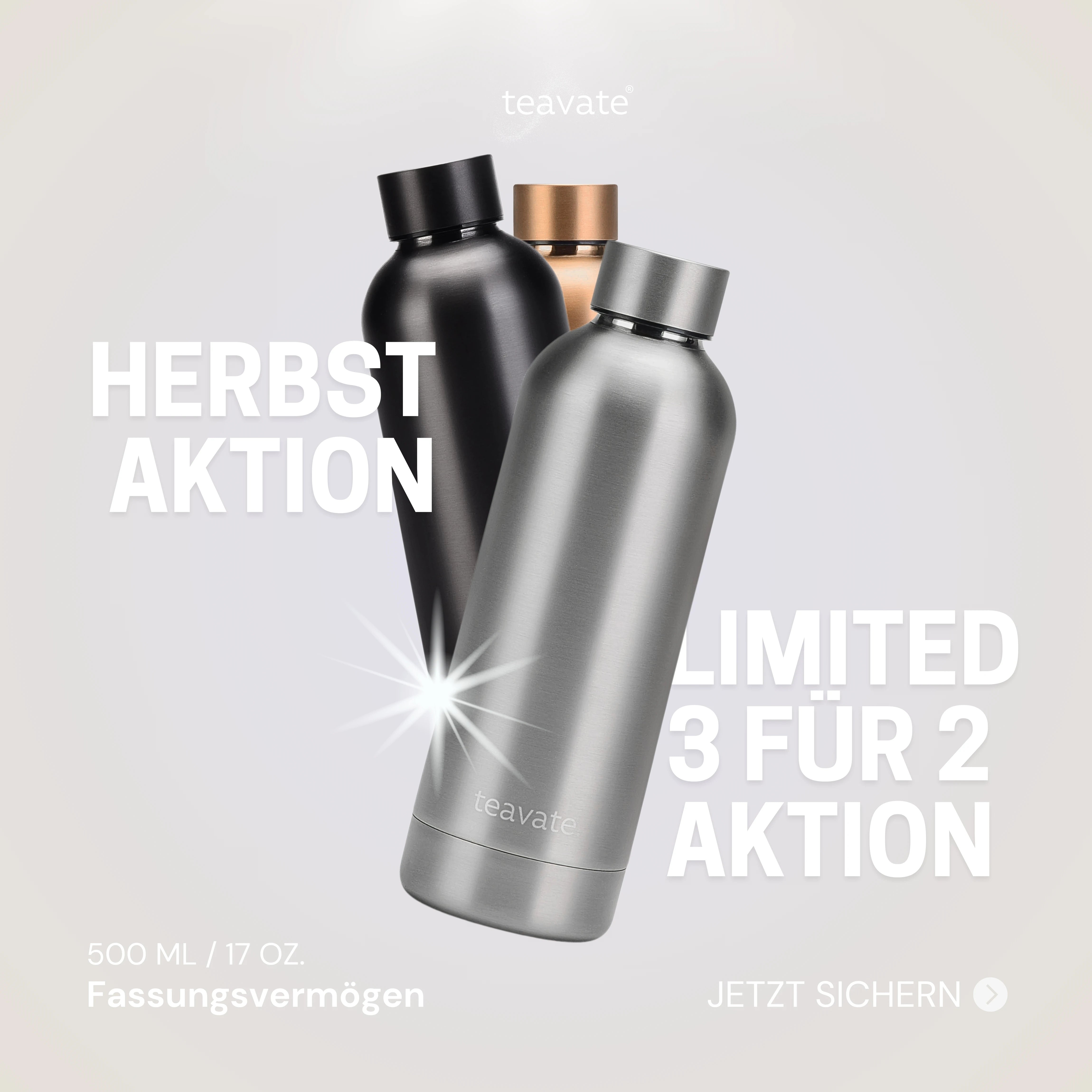 THERMO STEEL BOTTLE BRUSHED 500ML